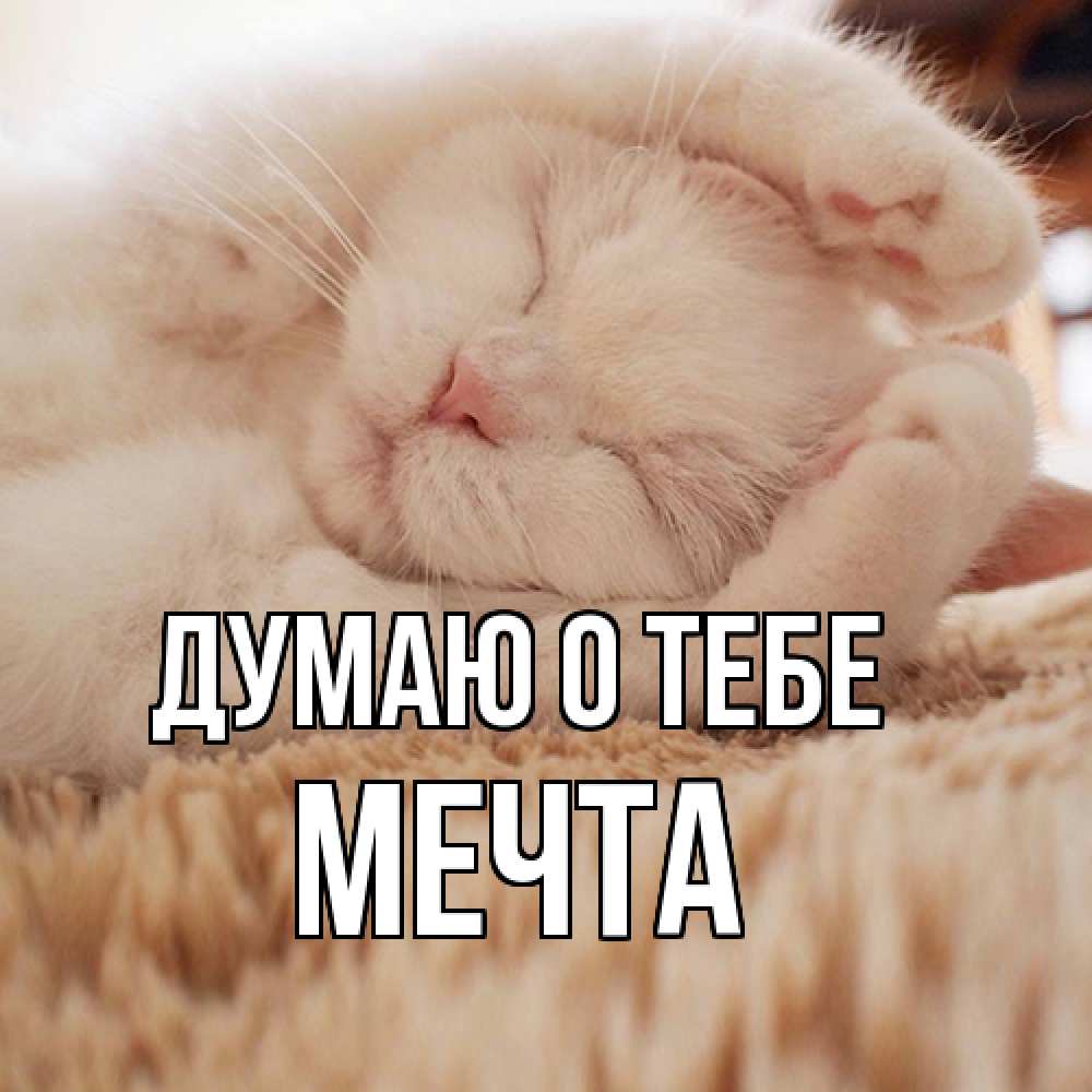 Открытка на каждый день с именем, мечта Думаю о тебе для любимой девушки милота Прикольная открытка с пожеланием онлайн скачать бесплатно 