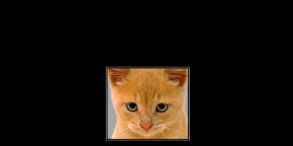 Открытка на каждый день с именем, Виталя Я по тебе скучаю открытки рыжий котенок скучает по тебе Прикольная открытка с пожеланием онлайн скачать бесплатно 