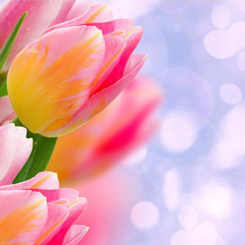 Открытка на каждый день с именем, Виталия C 8 МАРТА тюльпаны 2 Прикольная открытка с пожеланием онлайн скачать бесплатно 