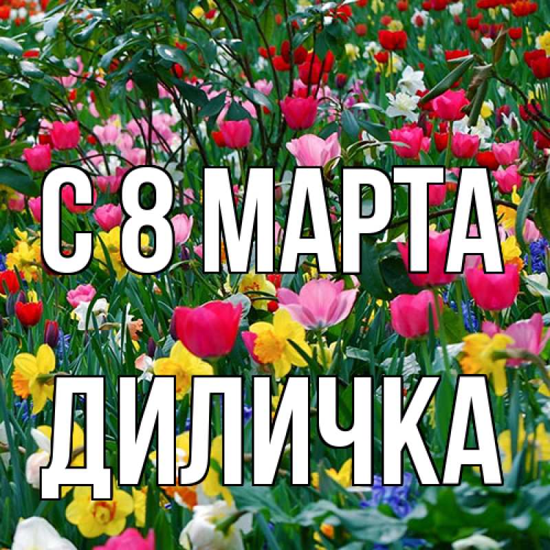 Картинка C 8 МАРТА, Диличка