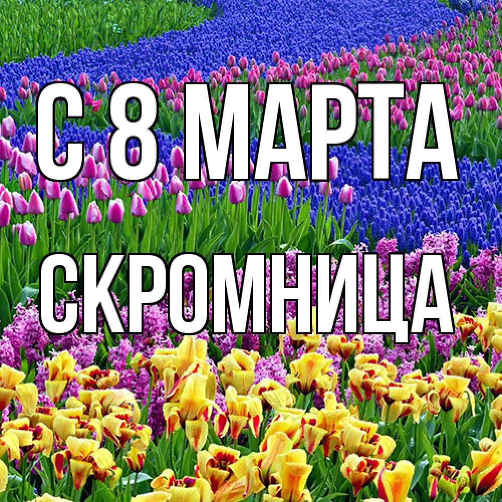 Открытка на каждый день с именем, Скромница C 8 МАРТА цветы Прикольная открытка с пожеланием онлайн скачать бесплатно 