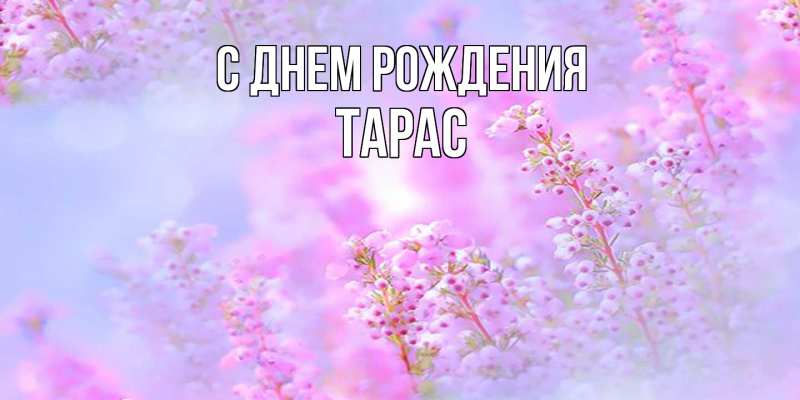 Картинка С днем рождения, Тарас
