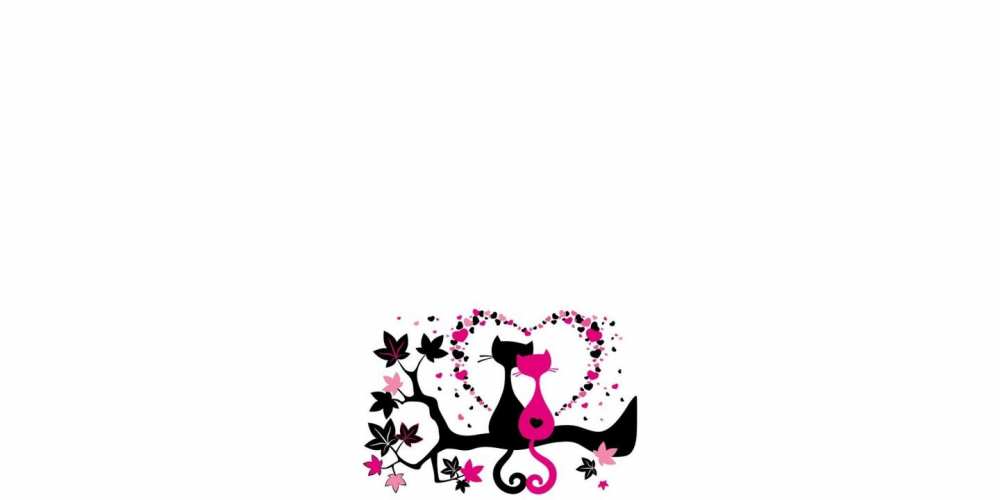Открытка на каждый день с именем, Салтанат Прости меня коты Прикольная открытка с пожеланием онлайн скачать бесплатно 