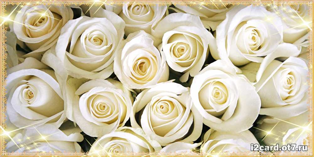 Открытка на каждый день с именем, Миленькая С днем рождения открытка с белыми розами. большой букет белых роз Прикольная открытка с пожеланием онлайн скачать бесплатно 