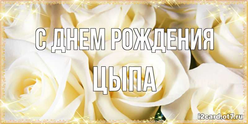 Картинка С днем рождения, Цыпа