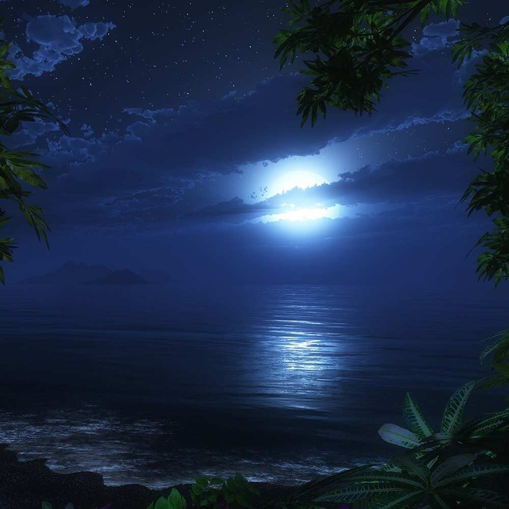 Открытка на каждый день с именем, Мэри Спокойной ночи тропический остров Прикольная открытка с пожеланием онлайн скачать бесплатно 