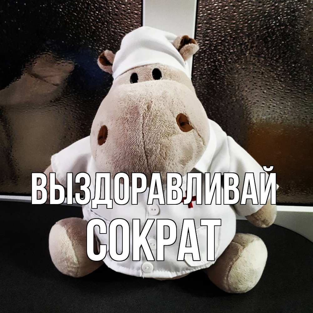 Открытка на каждый день с именем, Сократ Выздоравливай всех излечит исцелит Прикольная открытка с пожеланием онлайн скачать бесплатно 