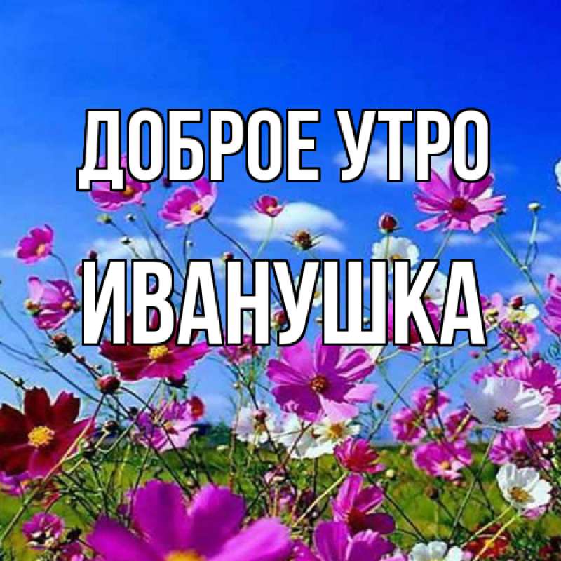 Картинка Доброе утро, Иванушка