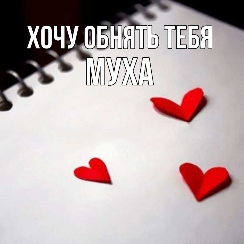 Картинка Хочу обнять тебя, Муха