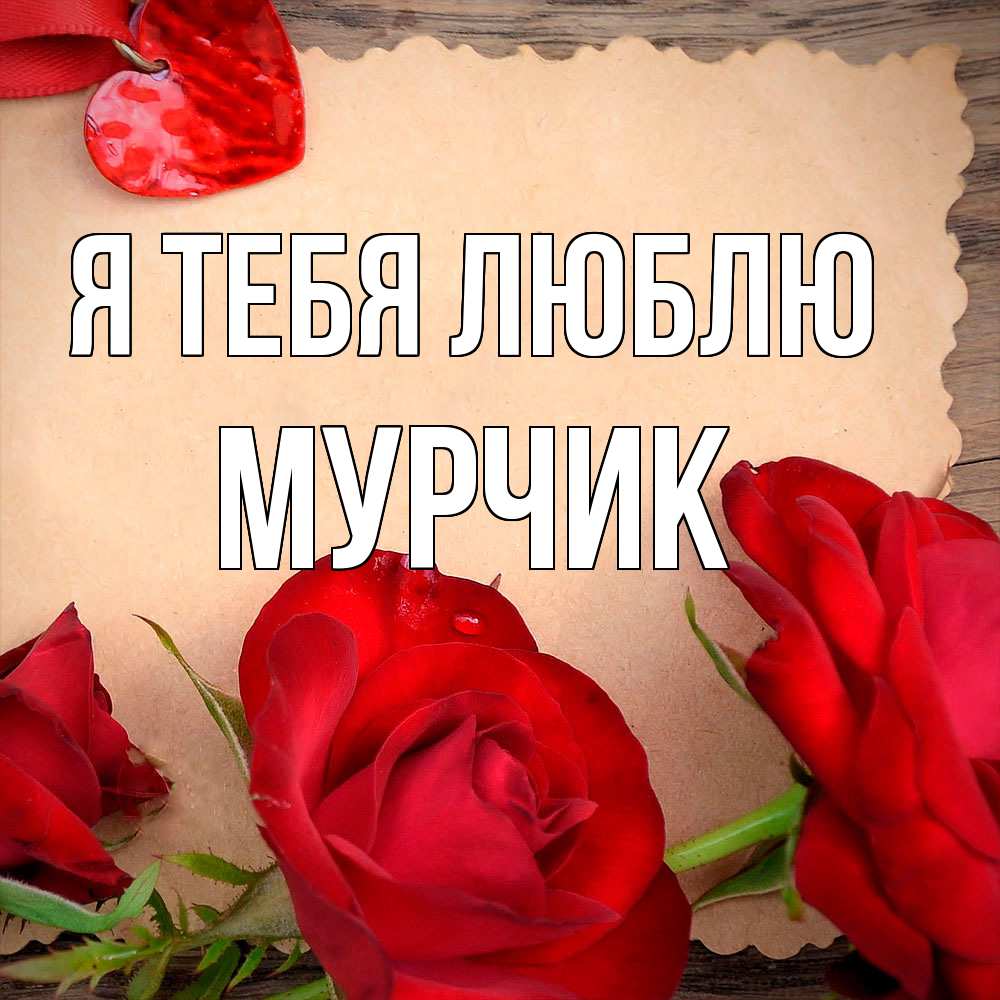 Открытка на каждый день с именем, Мурчик Я тебя люблю розы сердце 1 Прикольная открытка с пожеланием онлайн скачать бесплатно 