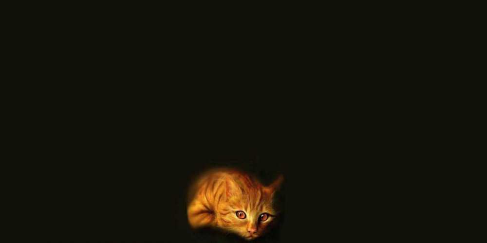 Открытка на каждый день с именем, Хрюндель Спокойной ночи кот Прикольная открытка с пожеланием онлайн скачать бесплатно 