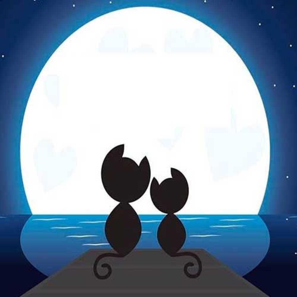 Открытка на каждый день с именем, Трофим Спокойной ночи луна море мост Прикольная открытка с пожеланием онлайн скачать бесплатно 