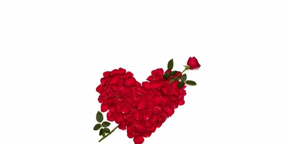Открытка на каждый день с именем, Климентина С днем Святого Валентина роза как стрела амура попала в сердце из роз Прикольная открытка с пожеланием онлайн скачать бесплатно 