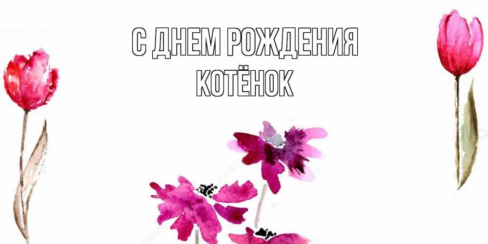 Открытка на каждый день с именем, Котёнок С днем рождения красные цветы нарисованные акварелью Прикольная открытка с пожеланием онлайн скачать бесплатно 