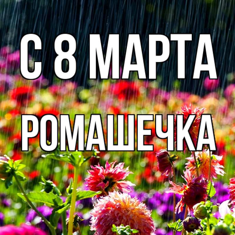 Картинка C 8 МАРТА, Ромашечка