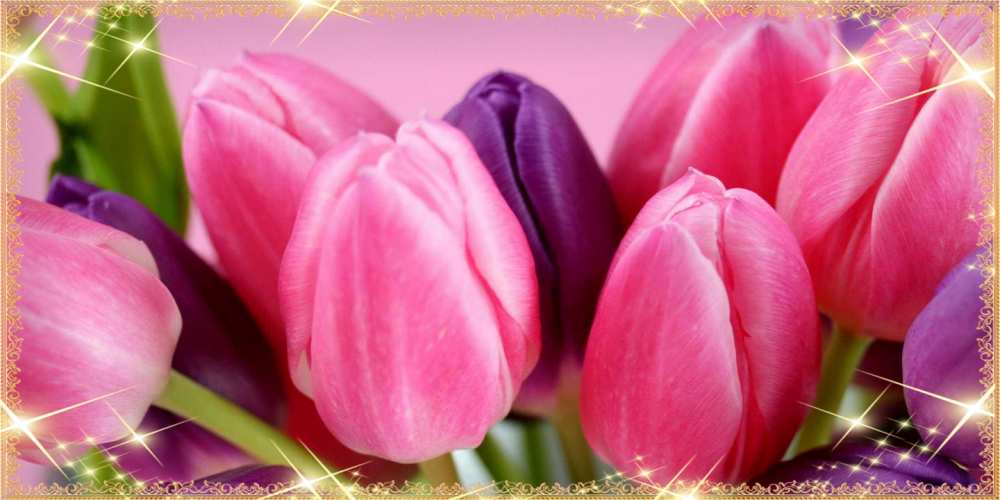 Открытка на каждый день с именем, Птаха C 8 МАРТА тюльпаны для женщины на международный женский день Прикольная открытка с пожеланием онлайн скачать бесплатно 
