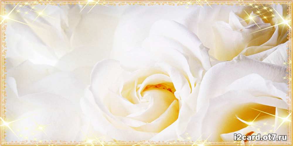 Открытка на каждый день с именем, Салтанат С днем рождения красивые розы и капли росы на этих чудесных цветах Прикольная открытка с пожеланием онлайн скачать бесплатно 