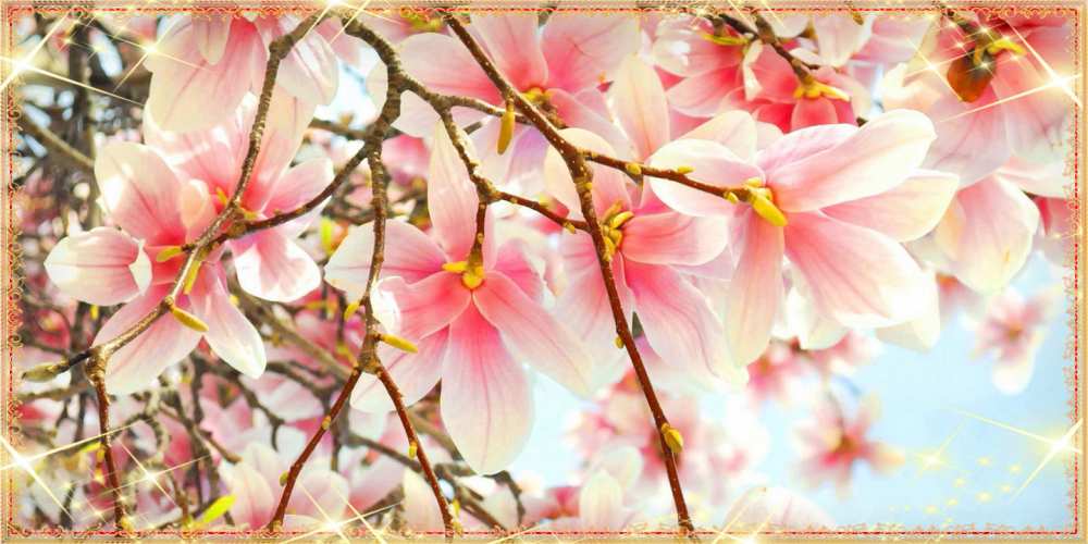 Открытка на каждый день с именем, Энергичная C 8 МАРТА цветы деревьев на 8 марта Прикольная открытка с пожеланием онлайн скачать бесплатно 