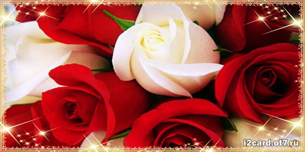 Открытка на каждый день с именем, Геннадий С днем рождения открытка на день рождения с белыми и красными розами Прикольная открытка с пожеланием онлайн скачать бесплатно 