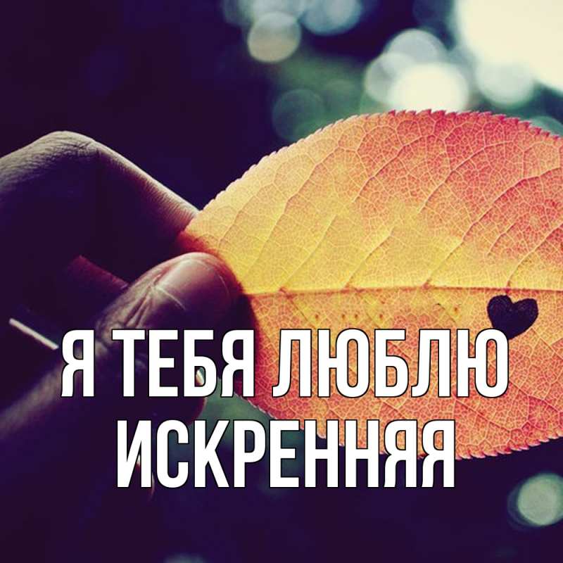 Картинка Я тебя люблю, Искренняя