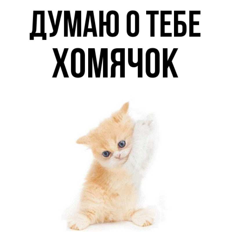 Картинка Думаю о тебе, Хомячок