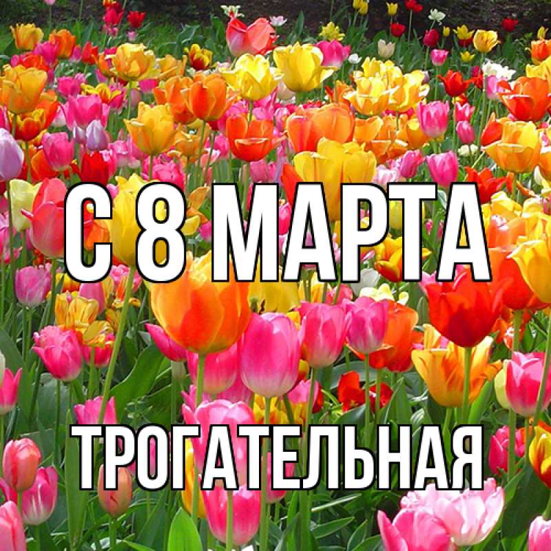 Картинка C 8 МАРТА, Тpогательная