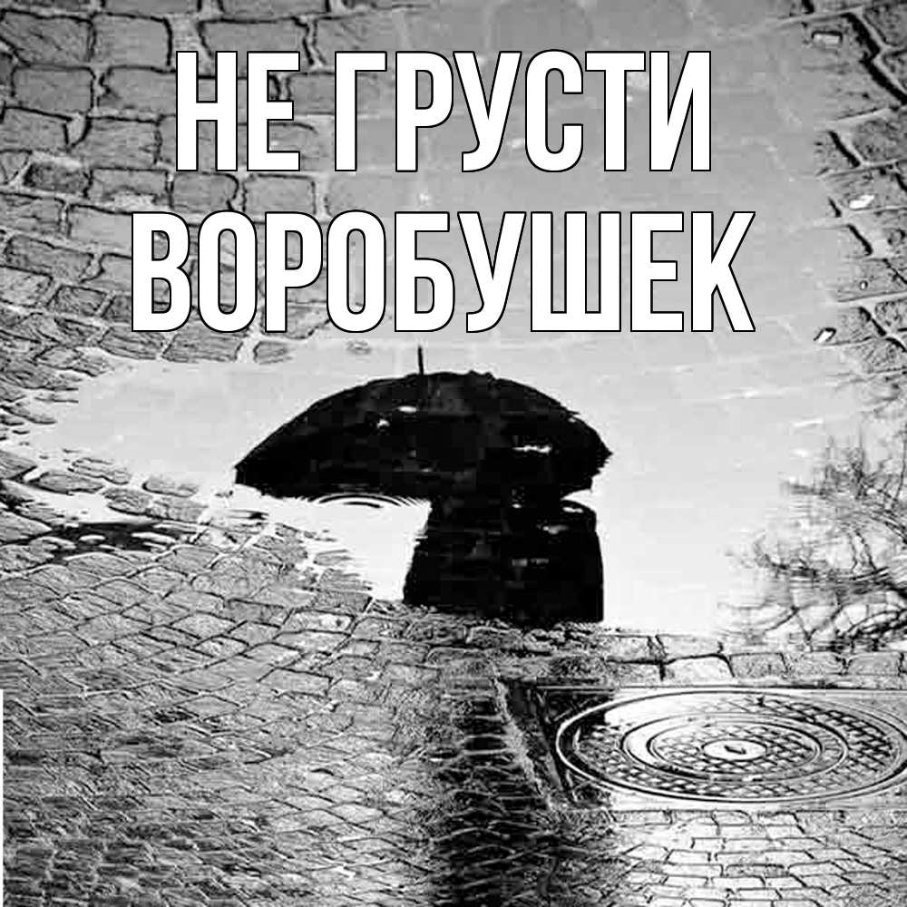 Открытка на каждый день с именем, Воробушек Не грусти отражение в луже Прикольная открытка с пожеланием онлайн скачать бесплатно 