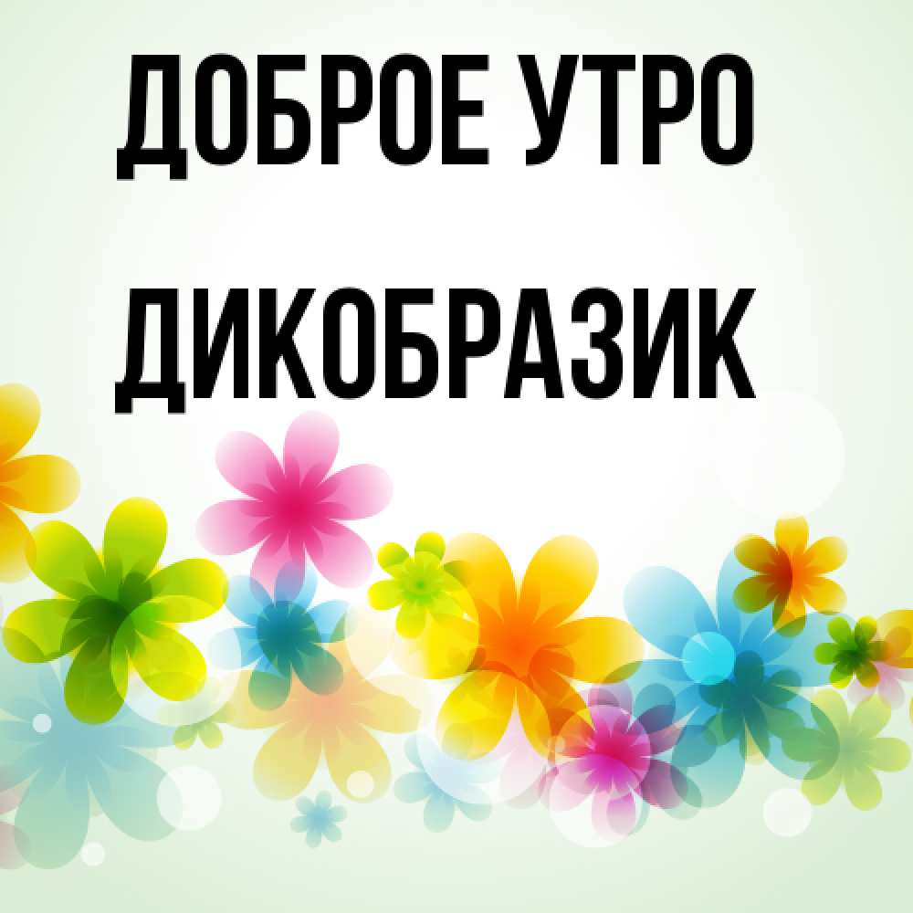 Открытка на каждый день с именем, дикобразик Доброе утро позитивные цветочки Прикольная открытка с пожеланием онлайн скачать бесплатно 