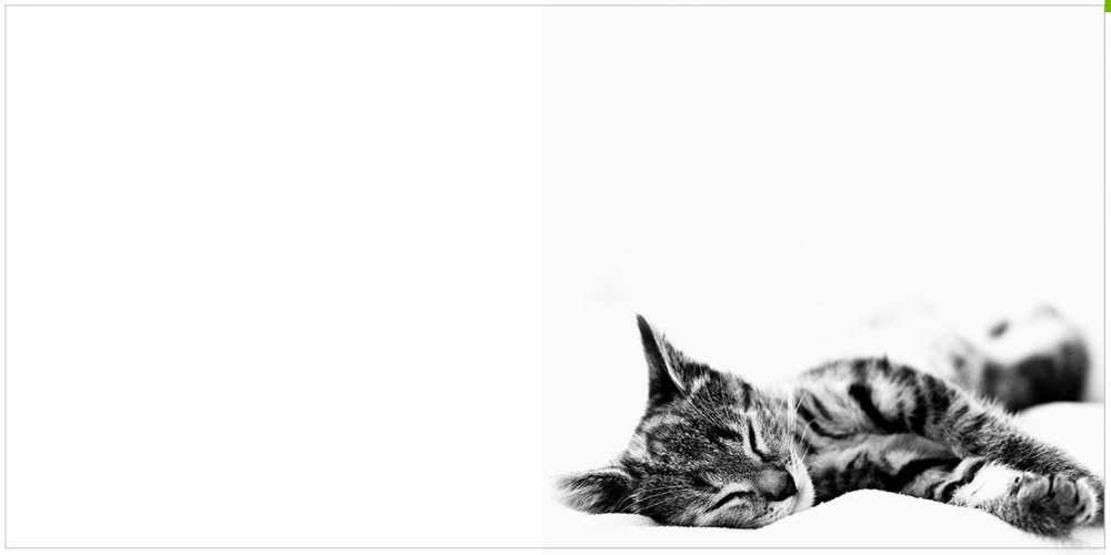 Открытка на каждый день с именем, Мирдза Доброе утро котуся Прикольная открытка с пожеланием онлайн скачать бесплатно 