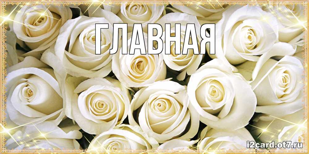 Открытка на каждый день с именем, настя Главная открытка с белыми розами. большой букет белых роз Прикольная открытка с пожеланием онлайн скачать бесплатно 