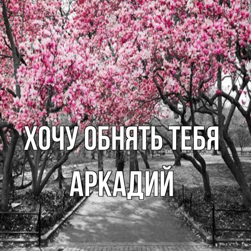 Картинка Хочу обнять тебя, Аркадий