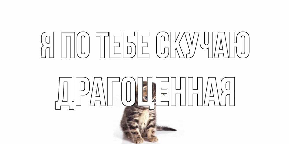 Открытка на каждый день с именем, Драгоценная Я по тебе скучаю кот Прикольная открытка с пожеланием онлайн скачать бесплатно 