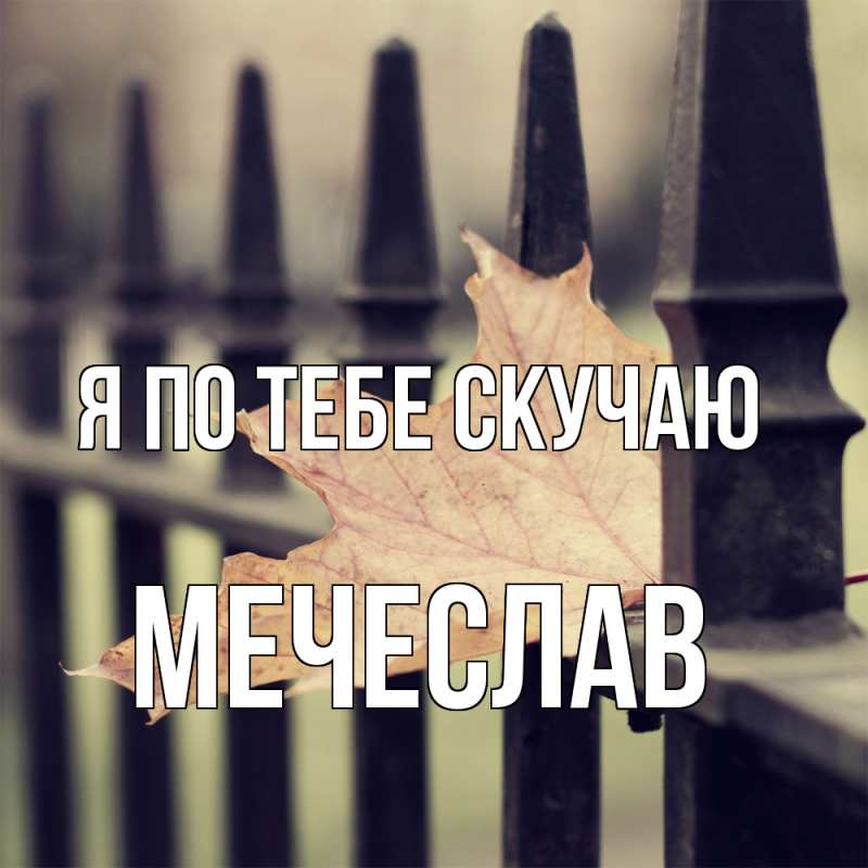 Картинка Я по тебе скучаю, Мечеслав