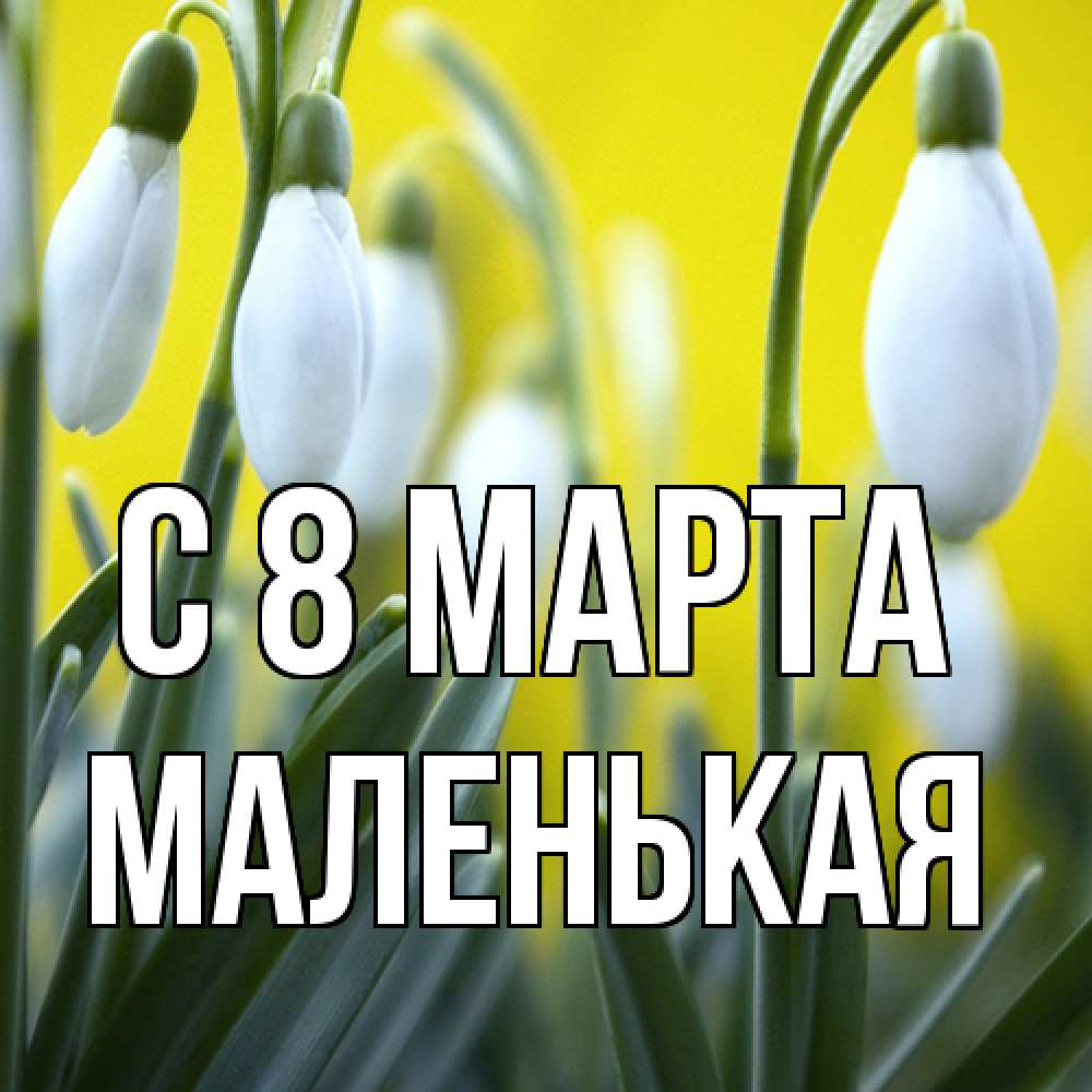 Открытка на каждый день с именем, Маленькая C 8 МАРТА весенние цветы Прикольная открытка с пожеланием онлайн скачать бесплатно 
