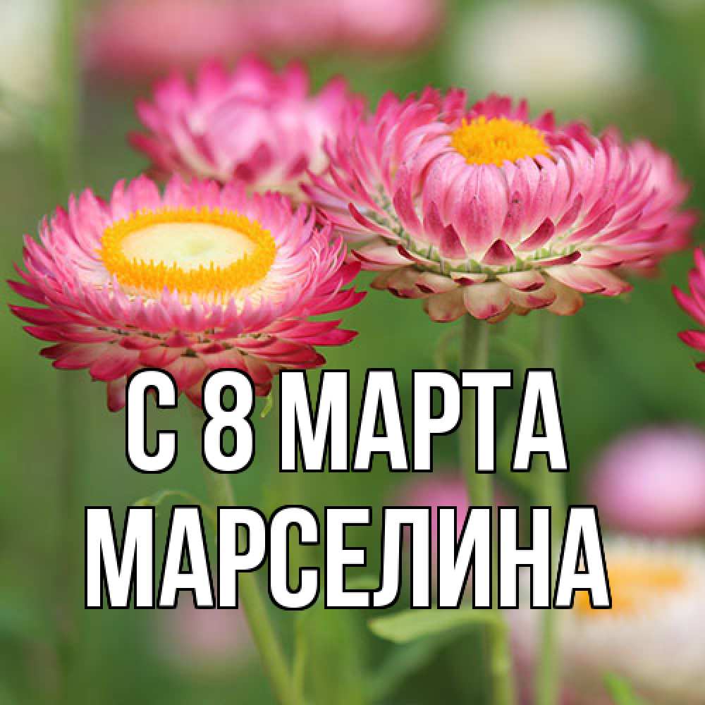 Открытка на каждый день с именем, Марселина C 8 МАРТА подарок на международный женский день Прикольная открытка с пожеланием онлайн скачать бесплатно 