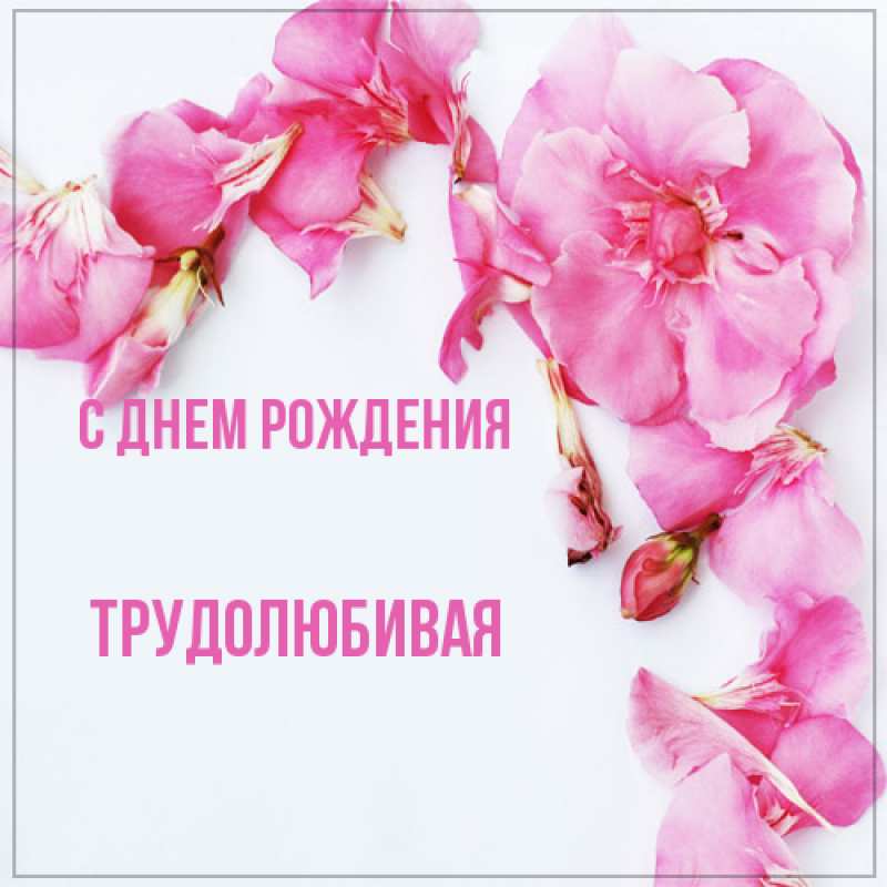 Картинка С днем рождения, Тpудолюбивая