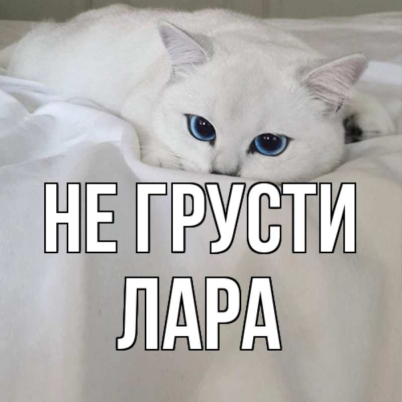 Картинка Не грусти, Лара
