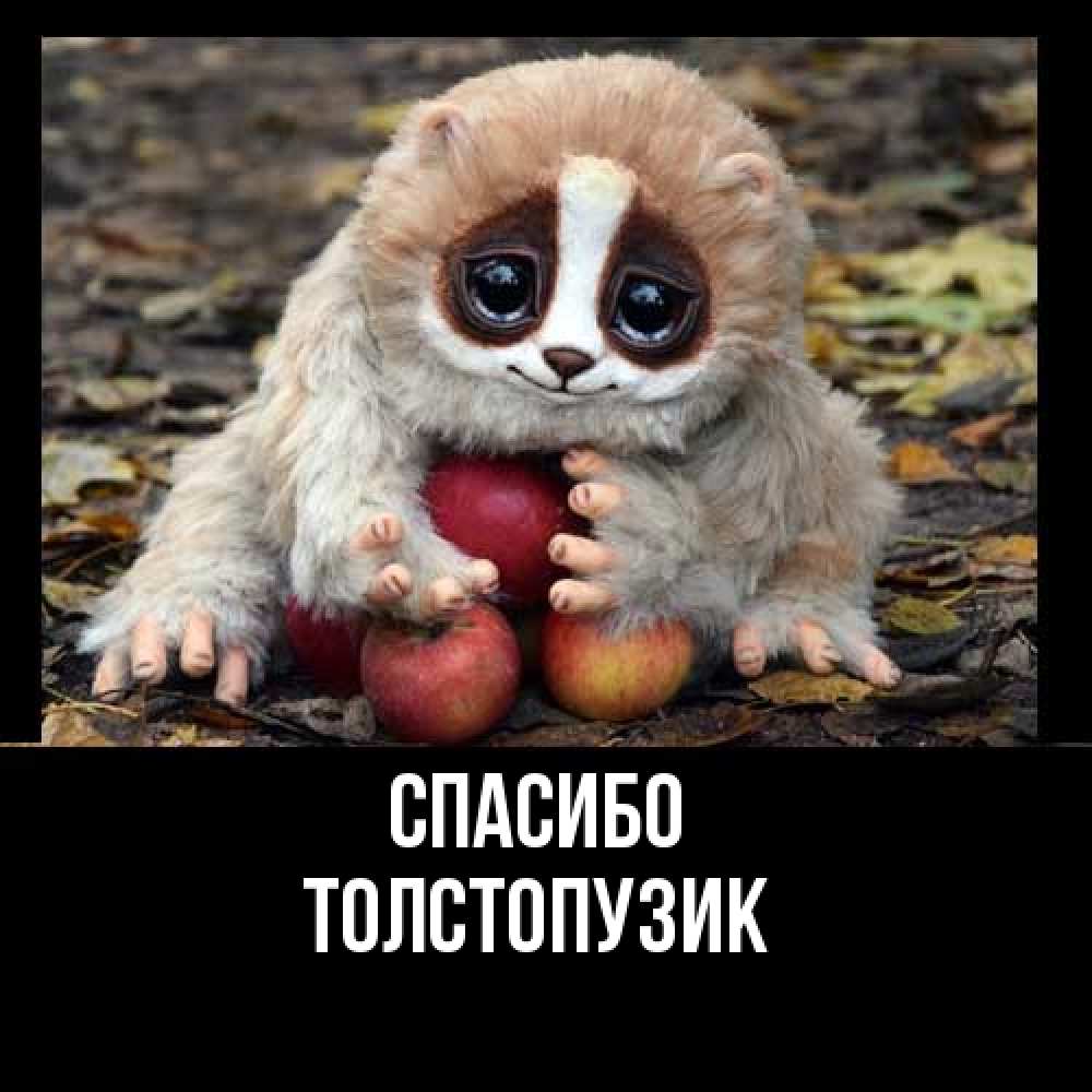 Открытка на каждый день с именем, Толстопузик Спасибо прикольное животное Прикольная открытка с пожеланием онлайн скачать бесплатно 