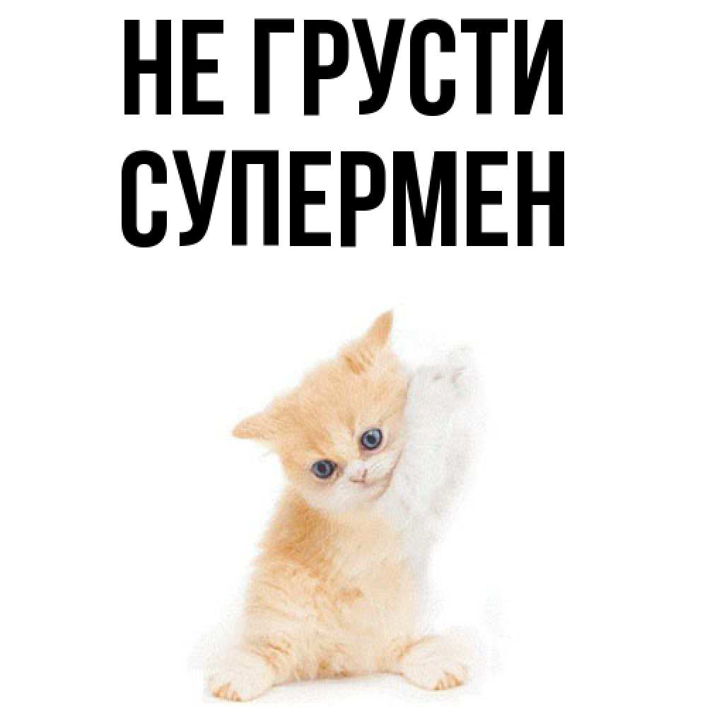 Открытка на каждый день с именем, Супермен Не грусти просящий кот Прикольная открытка с пожеланием онлайн скачать бесплатно 