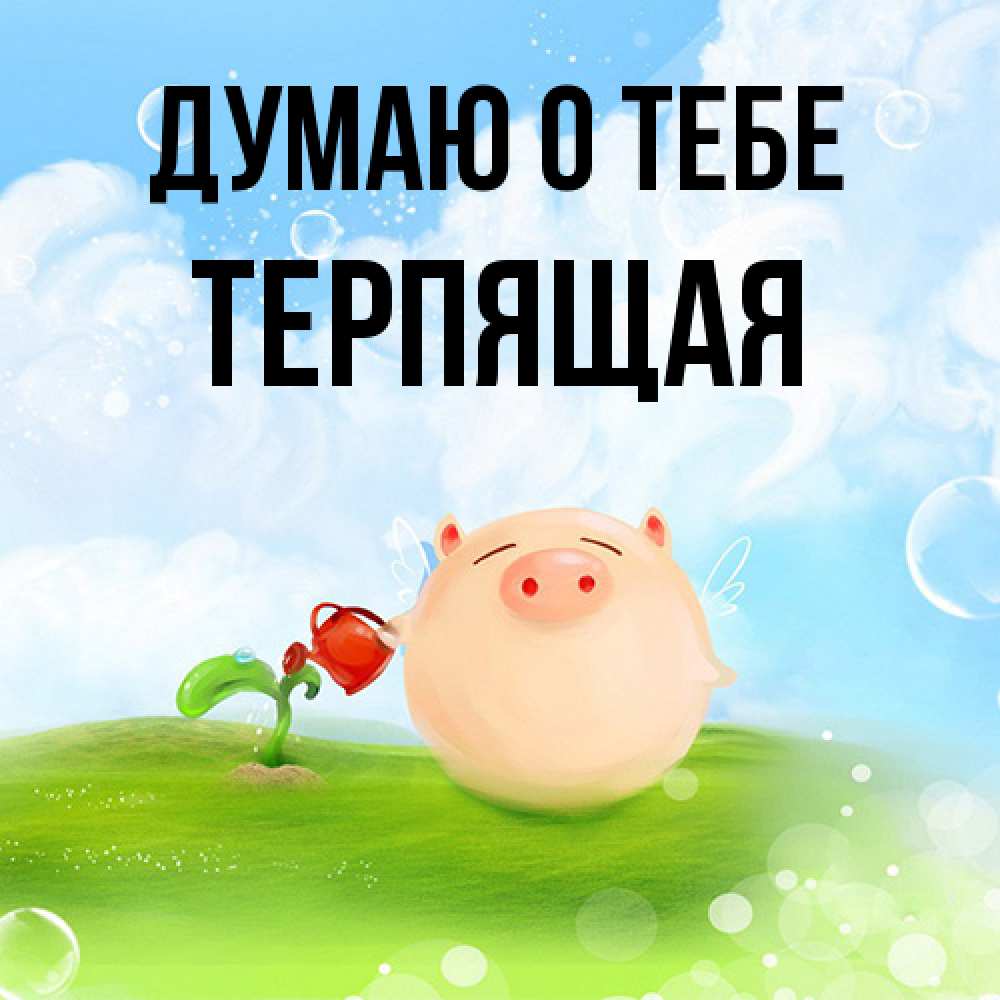 Открытка на каждый день с именем, Терпящая Думаю о тебе позитивная свинюшка Прикольная открытка с пожеланием онлайн скачать бесплатно 