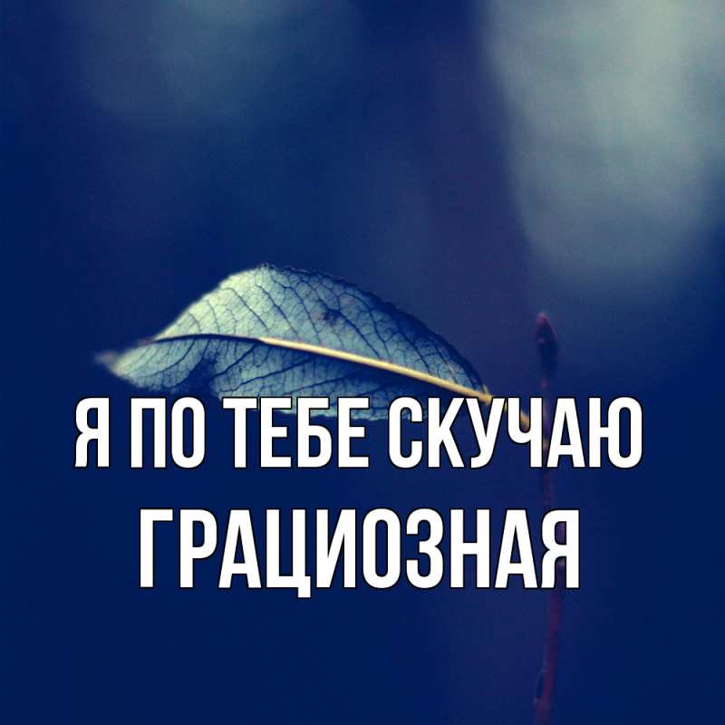 Картинка Я по тебе скучаю, грациозная