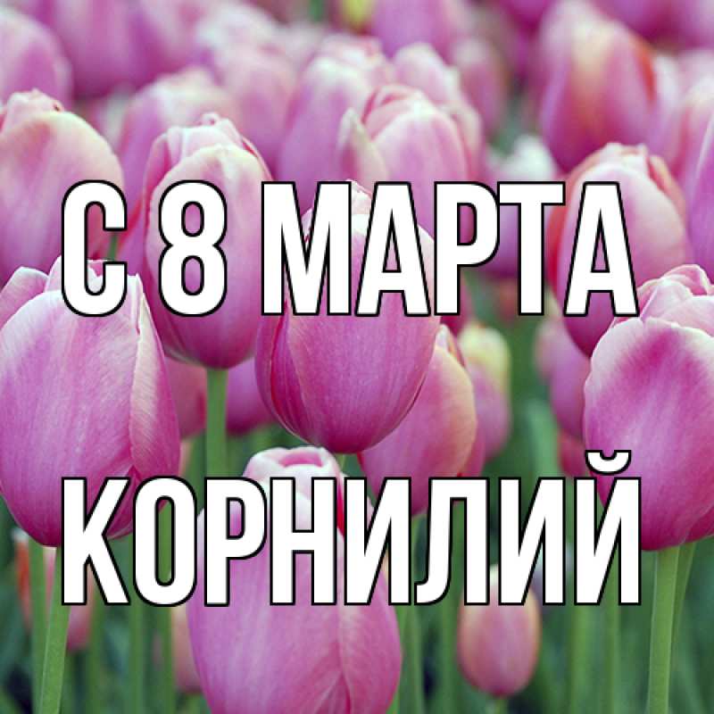 Картинка C 8 МАРТА, Корнилий