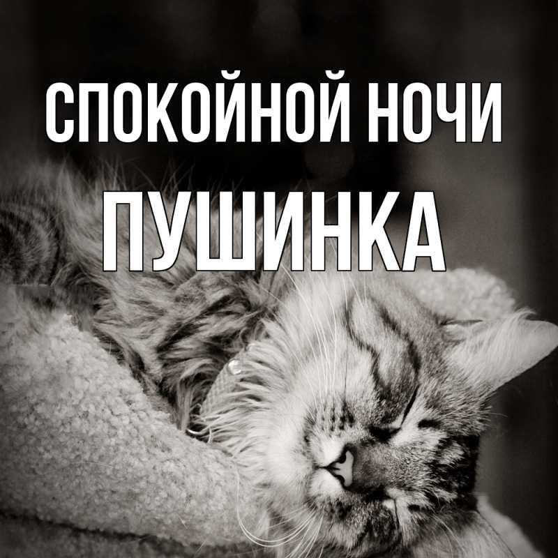 Картинка Спокойной ночи, пушинка