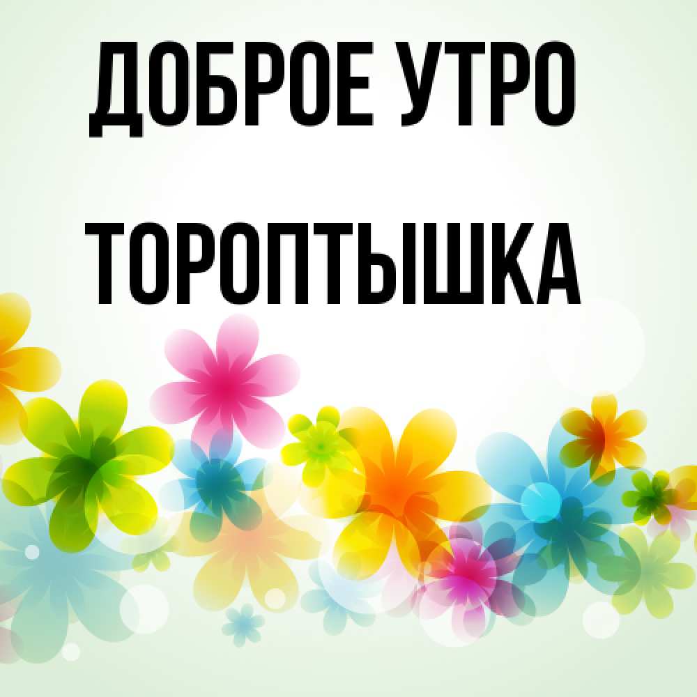 Открытка на каждый день с именем, Тороптышка Доброе утро позитивные цветочки Прикольная открытка с пожеланием онлайн скачать бесплатно 