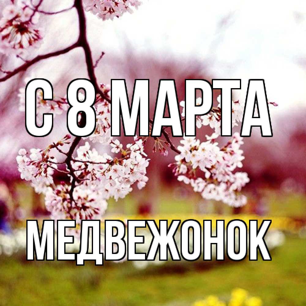 Открытка на каждый день с именем, медвежонок C 8 МАРТА яблоня Прикольная открытка с пожеланием онлайн скачать бесплатно 