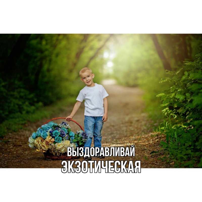 Картинка Выздоравливай, Экзотическая