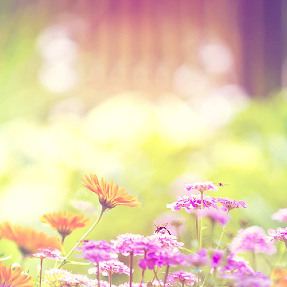 Открытка на каждый день с именем, мимишечка C 8 МАРТА цветы весна Прикольная открытка с пожеланием онлайн скачать бесплатно 