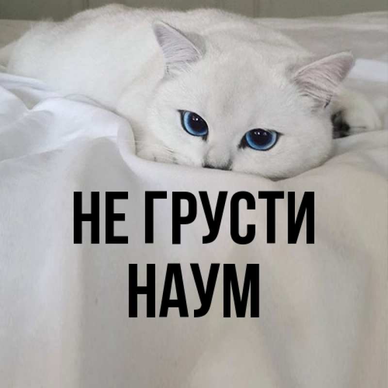 Картинка Не грусти, Наум