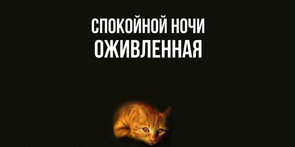 Открытка на каждый день с именем, Оживленная Спокойной ночи кот Прикольная открытка с пожеланием онлайн скачать бесплатно 