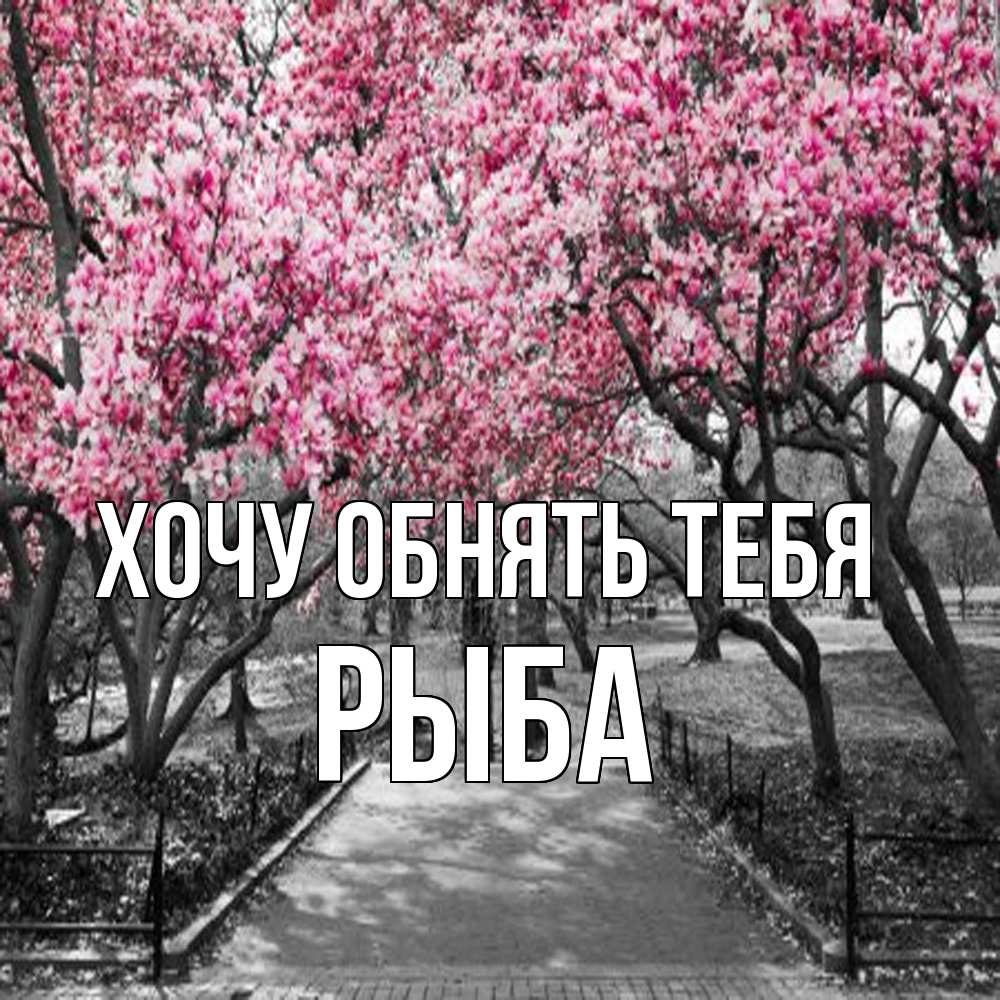 Открытка на каждый день с именем, Рыба Хочу обнять тебя обработанное фото Прикольная открытка с пожеланием онлайн скачать бесплатно 